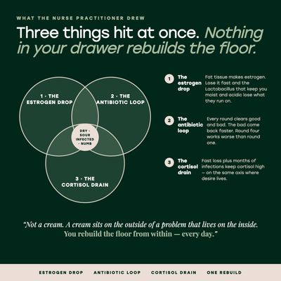 Three things hit at once: estrogen drop, antibiotic loop, cortisol drain — rebuild the floor